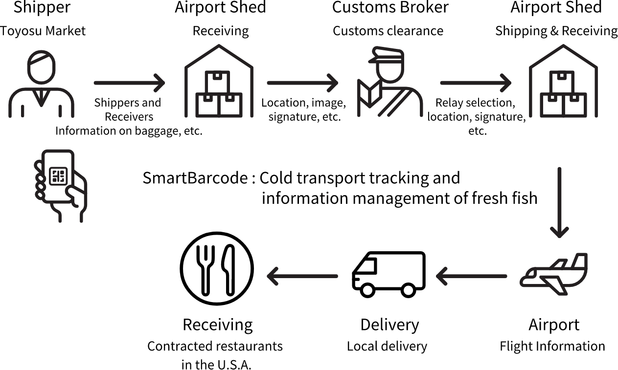 Visualization of cold transport